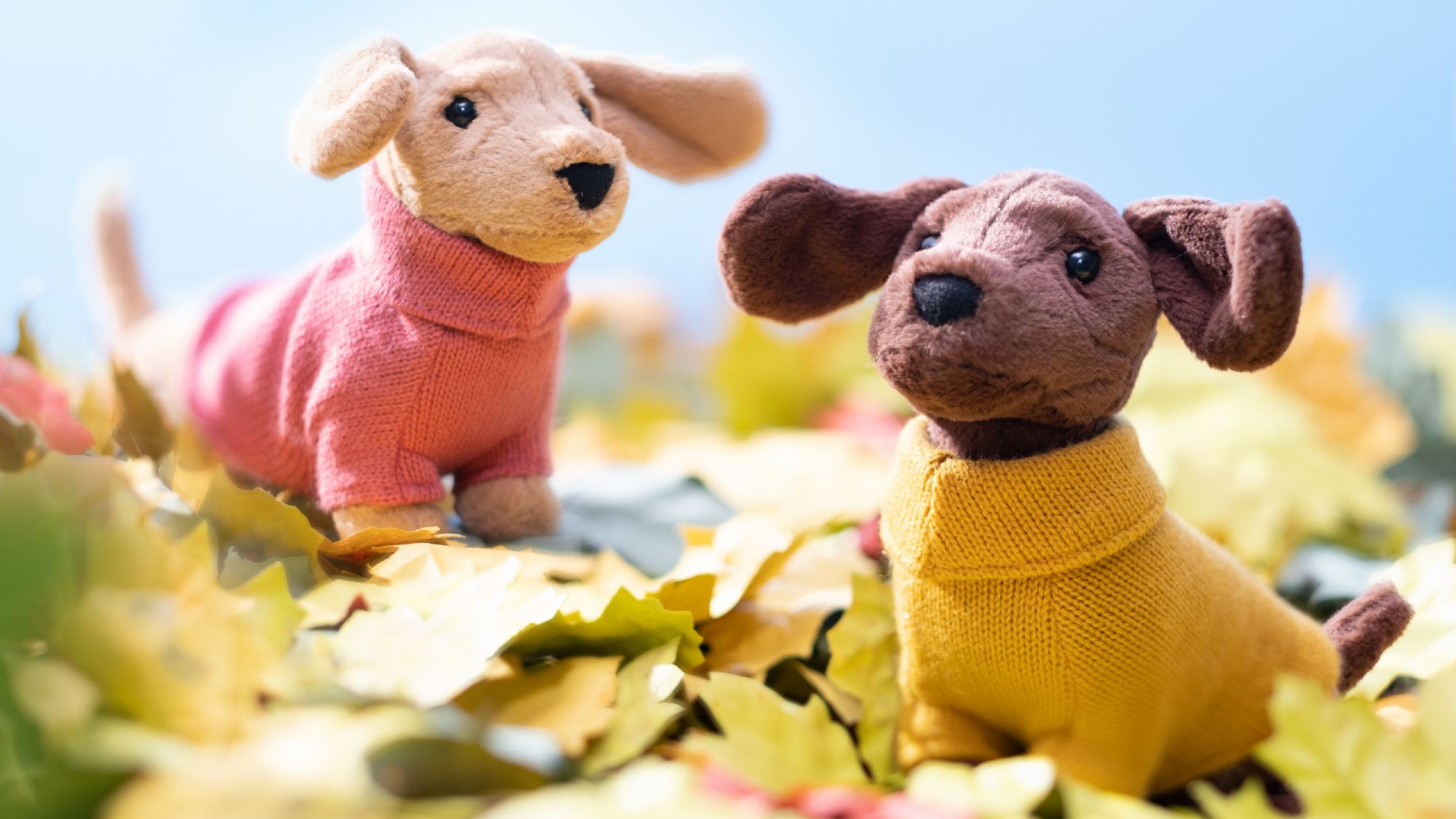 The Official Jellycat Site | Jellycat
