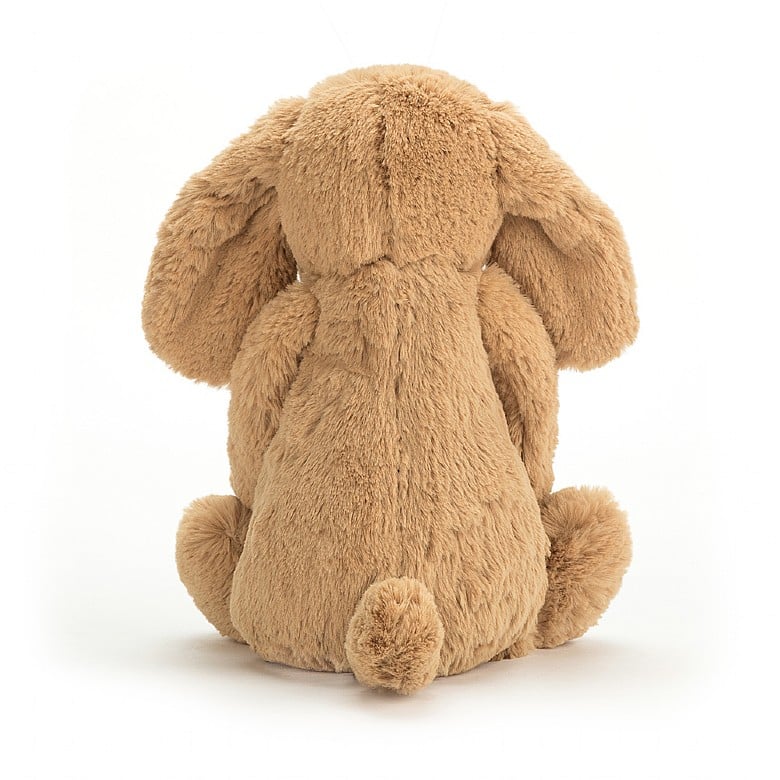Jellycat Sometimes I Feel Board Book and Bashful Toffee Puppy 12 inches Medium 