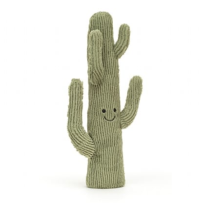 Amuseable Desert Cactus