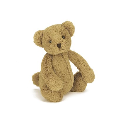 Bashful Teddy Bear