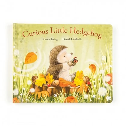 Curious Little Hedgehog Book
