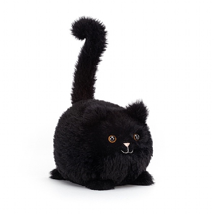 Kitten Caboodle Black