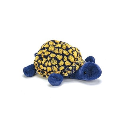 Blue Tootle Tortoise